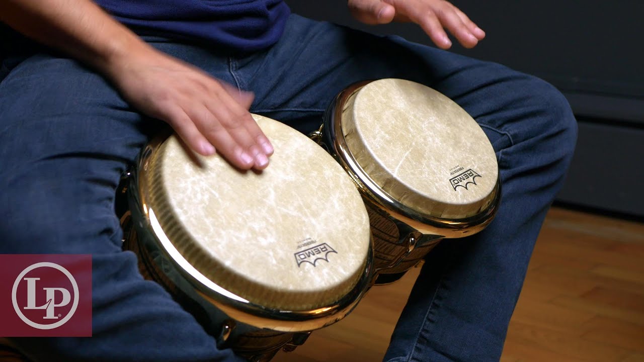Lp Rythmn We Are Rhythm® | Latin Percussion - LP® Official